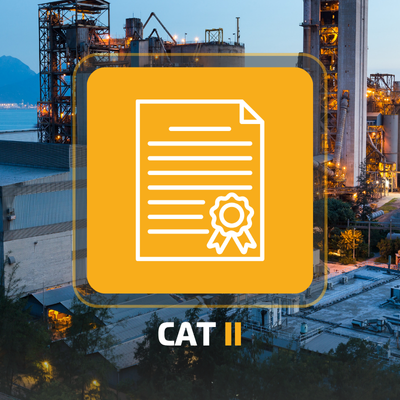 Vibration Analysis CAT II Exam